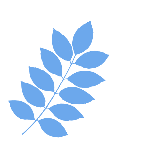 复旦大学国家大学科技园