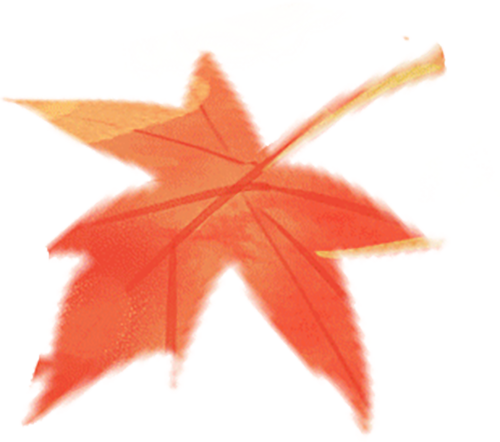 复旦大学国家大学科技园