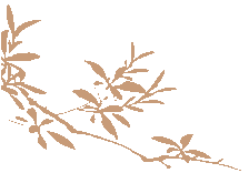复旦大学国家大学科技园 复旦大学国家大学科技园