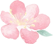 复旦大学国家大学科技园